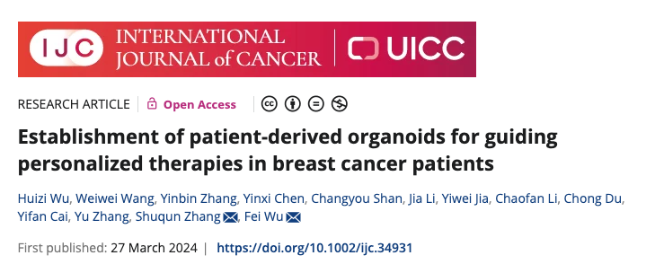 Biobank of Patient-Derived Organoids for Personalized Therapy in Breast Cancer - International Journal of Cancer